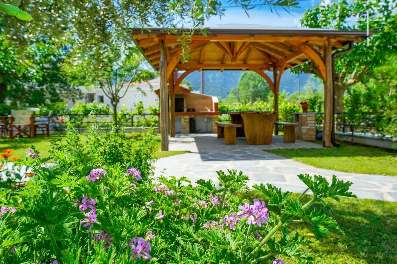 Studios Anemos Chrysi Ammoudia Exteriér fotografie